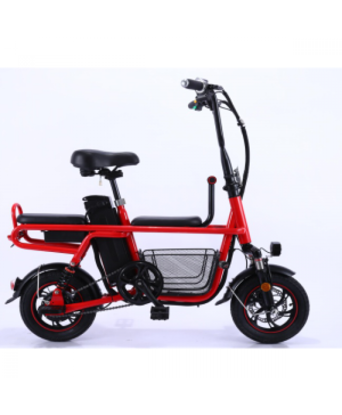 12 national standard parent-child 48V electric scooter