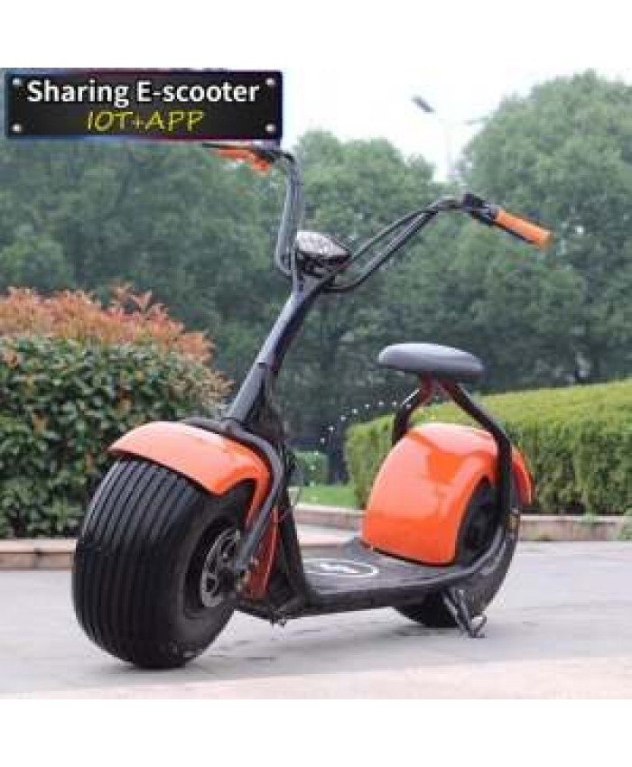 Droppshipping 2022 Basic Classic Citycoco 1000W/2000W EEC Electric Scooter With EEC and COC Shipping Door To Door